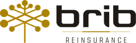 BRIB Reinsurance